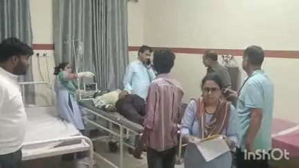 दांतारामगढ़: पलसाना के पास गोवंश से टकराकर स्कूटी सवार दंपति और उनकी बच्ची घायल हुए