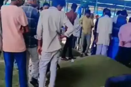 गाडरवारा: कृषि अनाज मंडी गाडरवारा में मूंग की भारी आवक, व्यापारी लगा रहे कम दाम