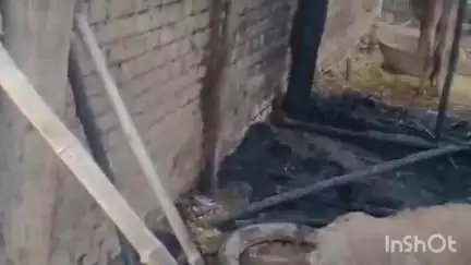 इस्लामनगर अलीगंज: महतपुर गांव में आग लगने से एक मवेशी की जलकर मौत, हजारों रुपए की संपत्ति का हुआ नुकसान