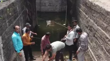बागली: जल गंगा संवर्धन अभियान के तहत बागली के कमलापुर में हाथी बावड़ी की सफाई और सौंदर्यीकरण किया गया