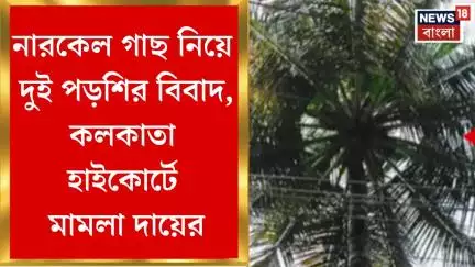 High Court : নারকেল গাছ নিয়ে দুই পড়শির বিবাদ, কলকাতা হাইকোর্টে মামলা দায়ের | Bangla News