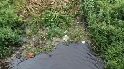 উদয়পুর: সুখ সাগর জলায় জলমগ্ন জমি, চাষে বিপর্যয়—কৃষকের আর্তনাদ কি শুনবে সরকার? #jansamasya