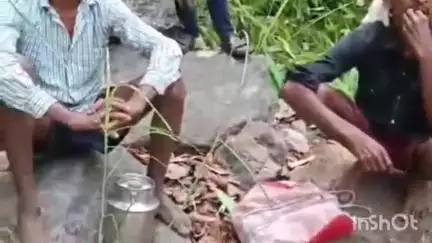 बिछिया: कान्हा टाइगर रिजर्व में मछली पकड़ने और पेड़ की छाल निकालने के आरोप में 3 गिरफ्तार
