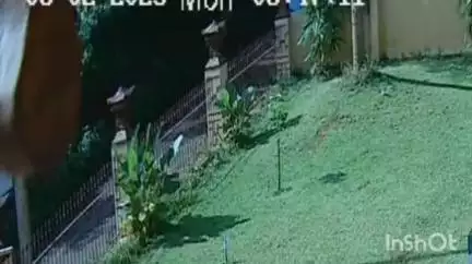 മൂവാറ്റുപുഴ: പിറവത്ത് നിന്ന് പ്ലസ് ടു വിദ്യാർത്ഥിയെ കാണാതായതായി പരാതി, വിദ്യാർത്ഥി നടന്നുപോകുന്ന സി.സി.ടി.വി ദൃശ്യം പുറത്ത്