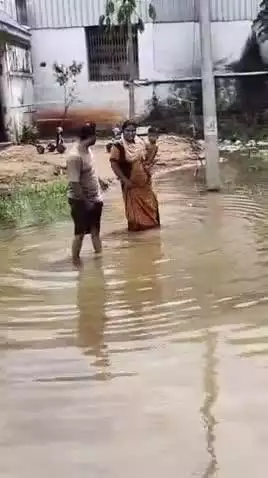 செங்கோட்டை: தேங்கி நிக்கும் மழை நீரால் குடியிருப்பு வாசிகள் அவதி
#localissue