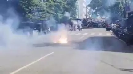 செங்கோட்டை: ராட்சத கேக் வெட்டி கலைஞர் பிறந்த நாளை கொண்டாடிய திமுகவினர்