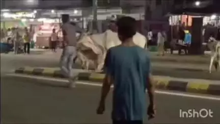 દાંતા: અંબાજી વિસ્તારમાં એક ગાયને ઉપડ્યો હડકાવ, ગૌરક્ષકોએ ગાયને પકડી સુરક્ષિત ગામની બહાર છોડી.