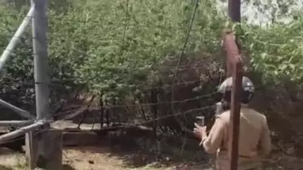 दुधि: म्योरपुर में दो जिओ टावरों से 7 बैटरी हुई चोरी, एक बैटरी की कीमत ₹50-60 हजार