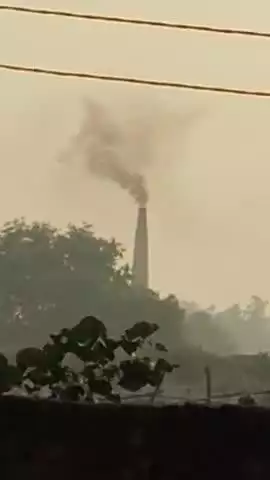 उ प्र प्रतापगढ पट्टी तहसील बेलसंडी गांव में विजेंद्र गुप्ता अवैध बाराही 551 ईंट उद्योग का संचालन जारी कई फलदार पेड़ सूखे