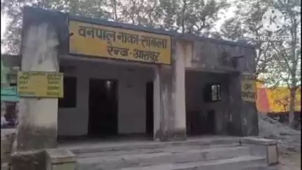 साबला: निठाऊआ और बॉडीगामा में अवैध लकड़ी तस्करी पर वन विभाग ने की दो जगह कार्रवाई