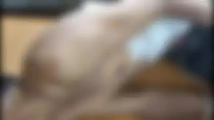 भीलवाड़ा: आपसी रंजिश के चलते युवक पर चाकू से हमला, घायल होकर थाने पहुंचा आरोपी, घायल का एमजी हॉस्पिटल में उपचार जारी