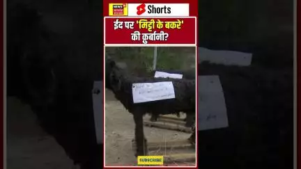 भोपाल: हिंदू संगठन ने प्रतीकात्मक बलि के लिए मिट्टी के बकरे चढ़ाए #news18up  #eidmubarak