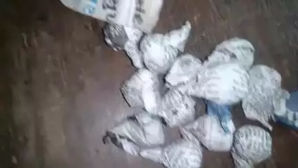 উদয়পুর: রমেশ চৌমনি এলাকায় গাঁজা বিক্রি করতে গিয়ে হাতেনাতে স্থানীয়দের হাতে আটক গাঁজা বিক্রেতা