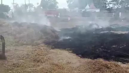 कटंगी: कटेधरा में कूड़े के ढेर में लगी आग, दमकल ने आग पर पाया काबू