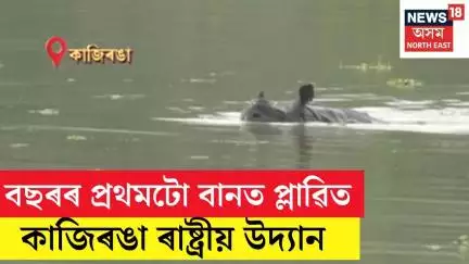 Kaziranga Flood | বছৰৰ প্ৰথমটো বানত প্লাৱিত কাজিৰঙা ৰাষ্ট্ৰীয় উদ্যান N18V