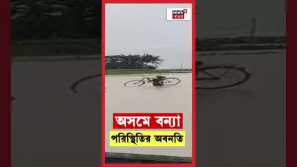 Assam বন্যা পরিস্থিতির অবনতি!  | N18S #shorts