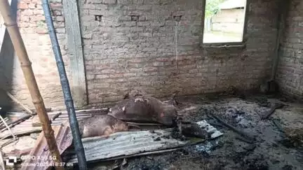 শীতলকুচি: চেঙ্গেরখুঁটি খলিসামারি এলাকায় আগুনে পুড়ে ছাই একটি ঘর সহ তিনটি গরু