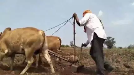 हिंगोली: जिल्ह्यातील शेतकऱ्यांनी खरीप पेरणीची घाई करू नये कृषी अधिकारी राजेंद्र कदम यांच्या शेतकऱ्यांना आवाहन