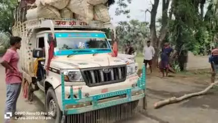 बोरियो तिनपहाड़ मुख्य पथ के तसर केंन्द के पास अज्ञात वाहन की चपेट में आने से देश मुर्मू की मवेशी की मौत किया चक्का जाम