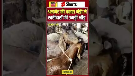 Eid-Ul-Adha : अजमेर की बकरा मंडी में खरीदारों की भीड़ उमड़ी #shorts |N18S