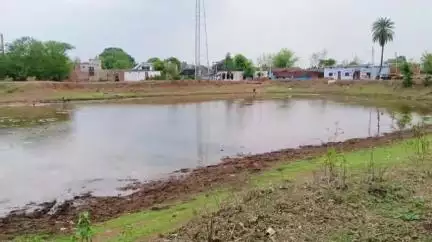रीठी: रीठी तहसील में भीषण गर्मी से झुलसती धूप और तपती ज़मीन, सूखने लगे तालाब