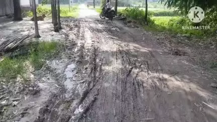 মাথাভাঙা ১: বাইসগুড়িতে বেহাল রাস্তা, সমস্যায় স্থানীয়রা #jansamasya