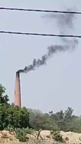 उ प्र प्रतापगढ पट्टी बेलसंडी विजेंद्र गुप्ता द्वारा सरकारी भूमि पर अवैध बाराही 551 ईंट  का संचालन कई फलदार पेड़ सूखे
