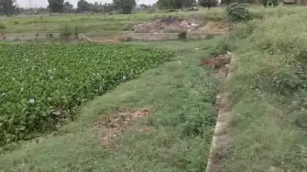 एटा: गांव चिलासनी में सफाई के अभाव में दयनीय स्थिति में तालाब, लोगों ने जीर्णोद्धार की उठाई मांग #jansamasya