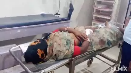 मुरैना नगर: कैलारस शुगर फैक्ट्री के सामने बस ने बाइक को मारी टक्कर, तीन घायल, अस्पताल में भर्ती
