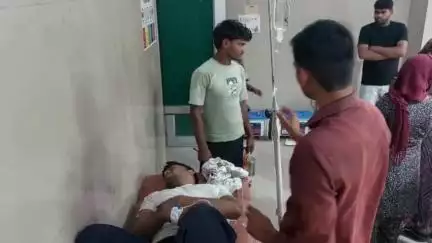 कुरावली: कुरावली क्षेत्र में आम तोड़ने गया युवक पेड़ से गिरकर घायल हुआ