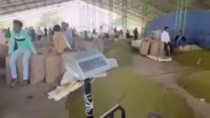 करेली: किसानों को अपनी मेहनत की फसल मूँग का नही मिल रहा वाजिद दाम,,, किसान ओने-पौने दाम पर फसल बेचने को मजबूर#jansamasya