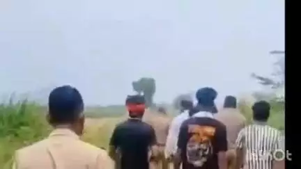 धौलाना: गांव सालेपुर कोटला के जंगल में प्रतिबंधित पशुओं के अवशेष मिलने से मचा हड़कंप, घटना के बाद ग्रामीणों में रोष