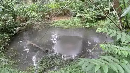 ഉടുമ്പൻചോല: ഉടുമ്പൻചോലയിൽ കുളത്തിൽ സ്ത്രീയുടെ മൃതദേഹം അഴുകിയ നിലയിൽ