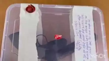 फिरोज़ाबाद: थाना दक्षिण पुलिस ने रेलवे लाइन के पास से तमंचा और जिंदा कारतूस के साथ अभियुक्त को पकड़ा