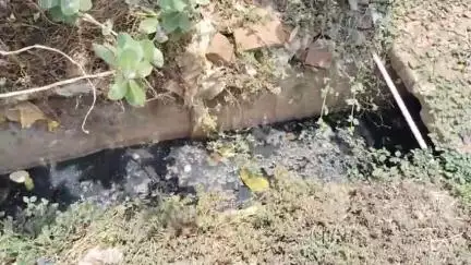 तुमसर: चुल्हाड गावातील सिमेंट नालीत पसरली दुर्गंधी, पावसाळापूर्व सिमेंट नाली उपसा करण्याची गावकऱ्यांची मागणी #Jansamaya