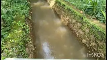 കോട്ടയം: മീനടത്ത് ഒഴുക്കിൽപെട്ട് കാണാതായ 66-കാരന് വേണ്ടി അഞ്ചാം ദിവസവും തിരച്ചിൽ ആരംഭിച്ചു