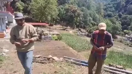 टिहरी: बागी गांव के काश्तकार रवि केमवाल ने सरकार की योजनाओं का उठाया लाभ, कीवी और नकदी फसलों को अपनाया