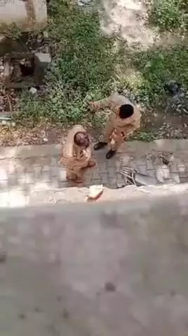 सीतापुर: रामकोट में सीतापुर पुलिस ने खाकी को शर्मसार किया, अवैध वसूली के पैसों के लिए झगड़ते सिपाही और दरोगा का वीडियो वायरल