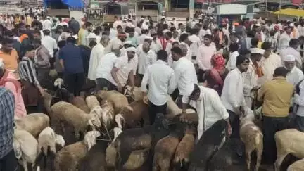 सातारा: बकरी ईद निमित्त तात्पुरत्या कत्तलखाण्यासाठी
नगर पालिका व ग्रामपंचायतींकडे अर्ज कराव- जिल्हाधिकारी संतोष पाटील