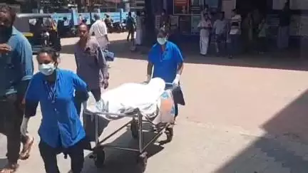 പാലക്കാട്: കുളത്തിന് സമിപം വീണുകിടന്ന മാങ്ങ എടുക്കാൻ ശ്രമിക്കുന്നതിനിടെ പൊൽപ്പുള്ളിയിൽ വയോധിക ഷോക്കേറ്റ് മരിച്ചു