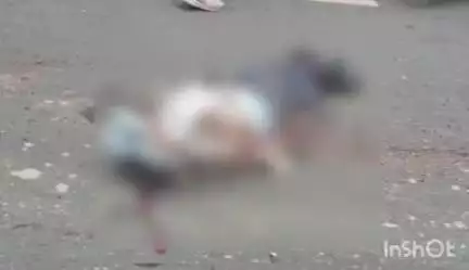 एत्मादपुर: झरना नाला के पास तेज रफ्तार ट्रक ने बाइक सवार व्यक्ति को रौंदा, हुई दर्दनाक मौत