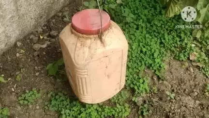 पंधाना: माकरला बेड़ी के पास पुलिस ने 18 वर्षीय युवक को 13 लीटर अवैध कच्ची महुआ शराब के साथ पकड़ा