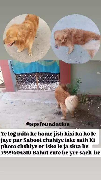 #apsgurjar