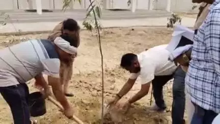 कन्नौज जनपद के छिबरामऊ ब्लाक के सलेमपुर ग्राम पंचायत का उपनिदेशक प्रवीणा चौधरी निरीक्षक कर किया पौधरोपण।