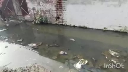 संभल: नगर पालिका वार्ड 2 के लोगों का आरोप  सड़क पर काला पानी गंदगी मच्छर का प्रकोप दोस्त 1 साल से काट रहे चक्कर  #jansamasaya