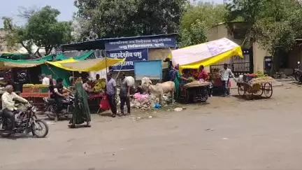 बूंदी: पशुपालन विभाग के बाहर लगे कचरे के ढेर पर नगर परिषद द्वारा नहीं हो रही कोई कार्रवाई: जिला पशुपालन विभाग