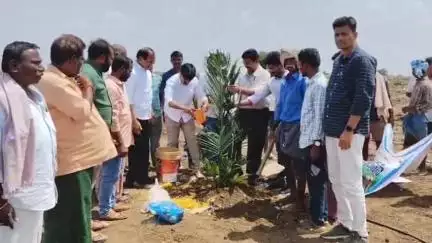 అలంపూర్: మెగా ఆయిల్ ఫామ్ ప్లాంటేషన్ ను ప్రారంభించిన అలంపూర్ ఎమ్మెల్యే విజయుడు