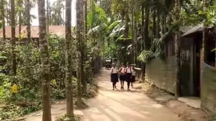 মাদারিহাট: ২৮ টি দল রাত পাহারা দিচ্ছে বুধবার জানালেন জলদাপাড়ার ডিএফও