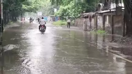 बसंतपुर: जल जमाव से वीरपुर नगर पंचायत में बढ़ी परेशानी, ईओ ने कहा - जल्द होगा नाला निर्माण