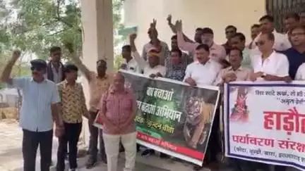 लाडपुरा: मुकन्दरा टाइगर रिजर्व में बाघ बसाने के खिलाफ विरोध प्रदर्शन, मुख्य वन संरक्षक को दिया ज्ञापन